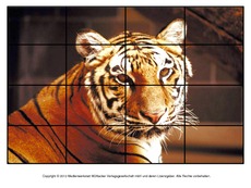 Puzzle-Tiger-2.pdf